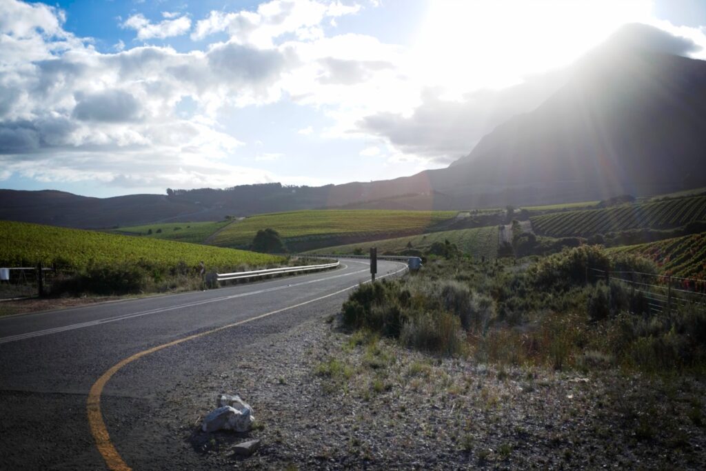 On the Hemel en Aarde road between Caledon and Hermanus