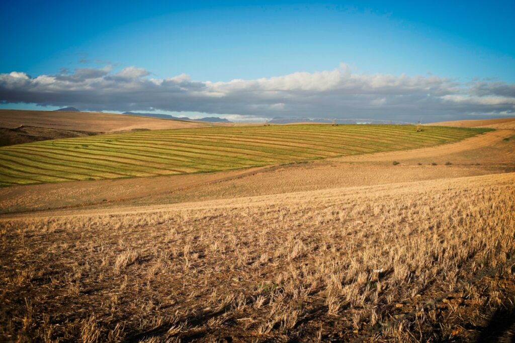 On the road between Greyton and the N2